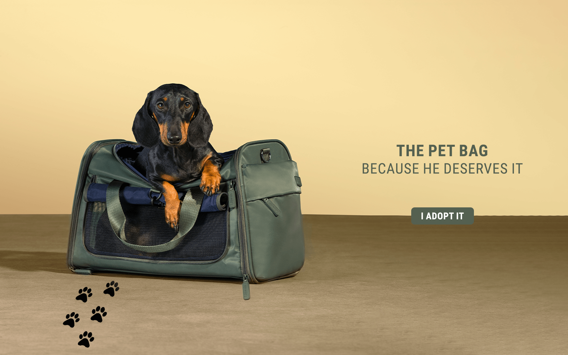 The pet bag | Lipault